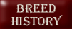 Nosferatu Akitas - UK Akita Breeders - Breed History
