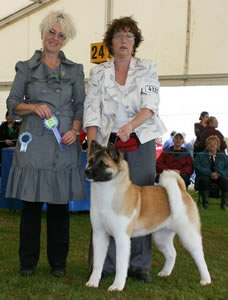 Maddison Best Puppy in Breed at Paignton
