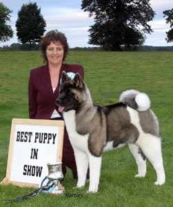 Sophie winning Best Puppy