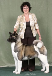 Champion Akita Sophie and Tina Thomas