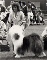 Tina Thomas and Old English Sheepdog